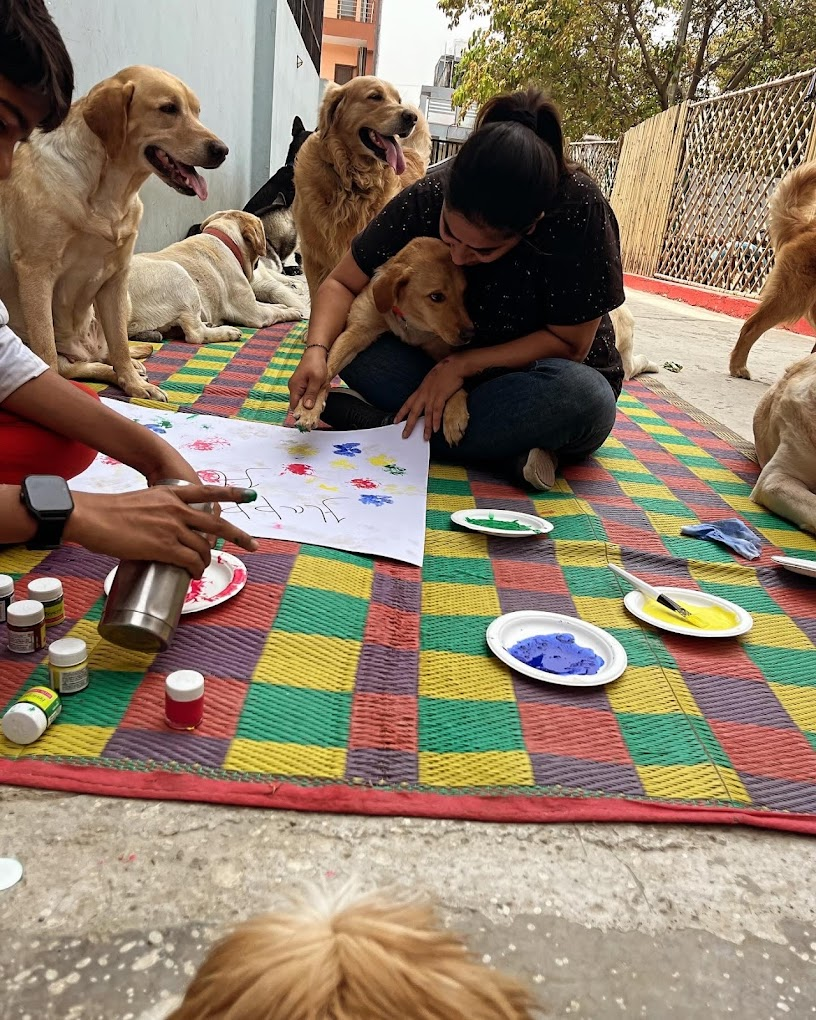 Paw’s Point | Dog Boarding in Noida
